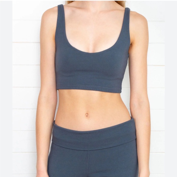 Brandy Melville Tops - Brandy Melville charcoal gray Lydia crop tank